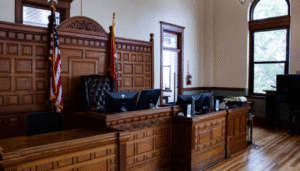 what is the litigation process